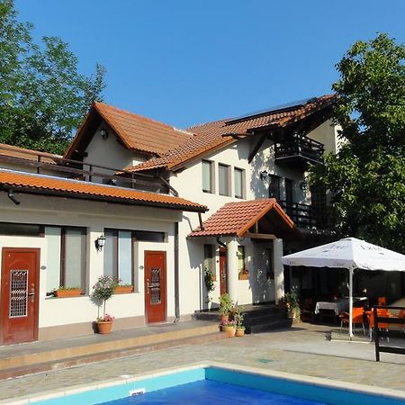 Vila Europa Sărata-Monteoru Екстериор снимка