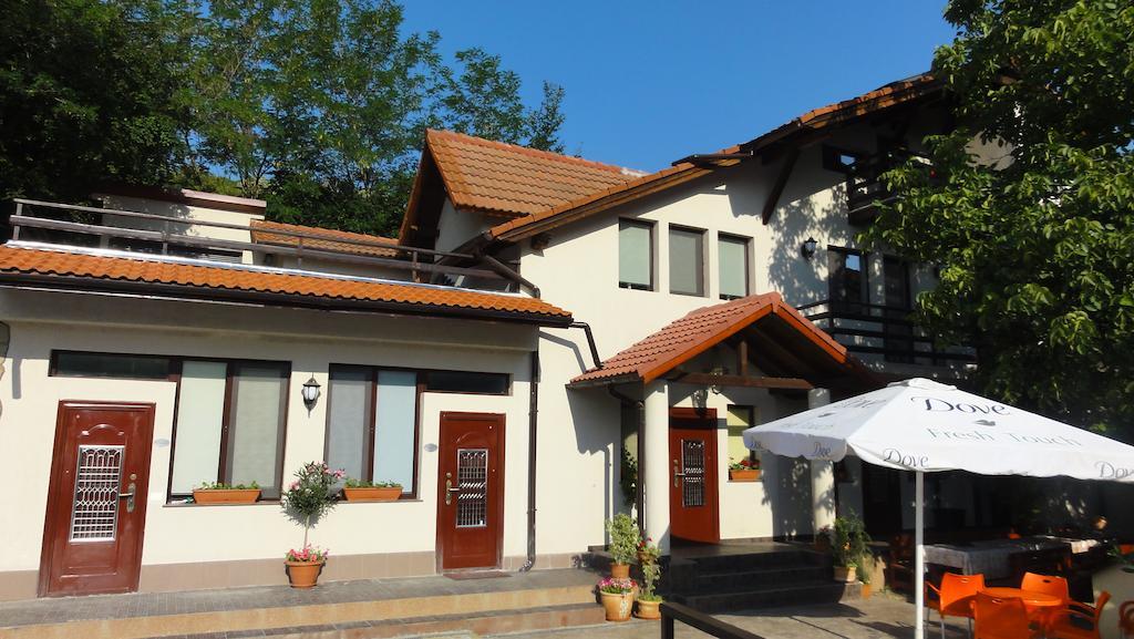 Vila Europa Sărata-Monteoru Екстериор снимка