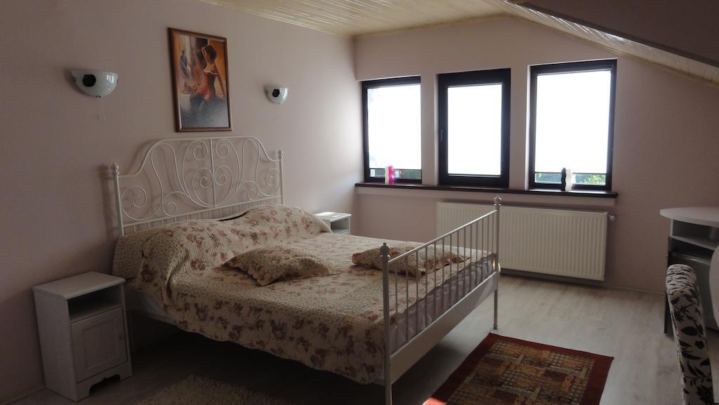 Vila Europa Sărata-Monteoru Стая снимка